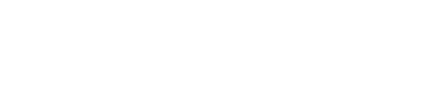 woongjin logo